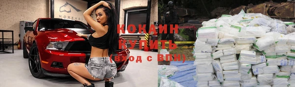 прущие крисы Зеленодольск