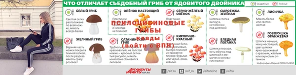 прущие крисы Зеленодольск