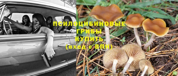прущие крисы Зеленодольск