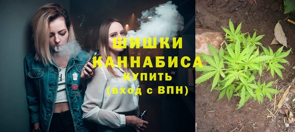 прущие крисы Зеленодольск